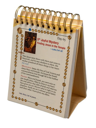 The Illustrated 365 Rosary Day by Day Bead by Bead