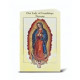 Book, Our Lady of Guadalupe Novena and Prayers